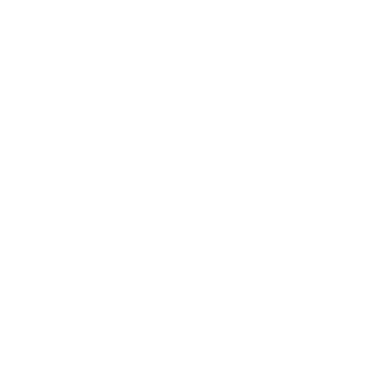 SKY DREAMS